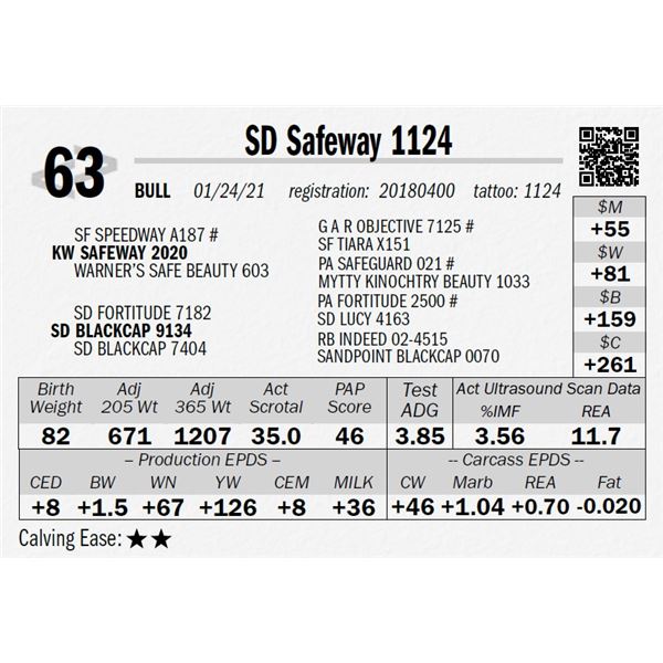 SD Safeway 1124