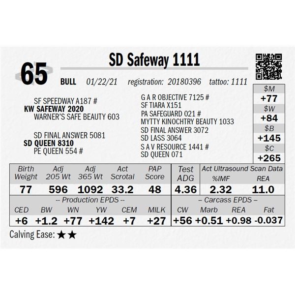 SD Safeway 1111