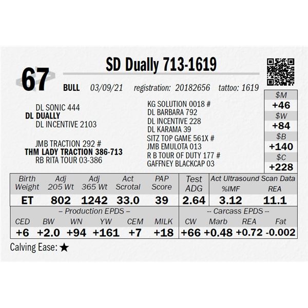 OUT OF SALE - SD Dually 713-1619