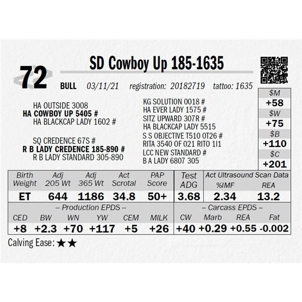 SD Cowboy Up 185-1635