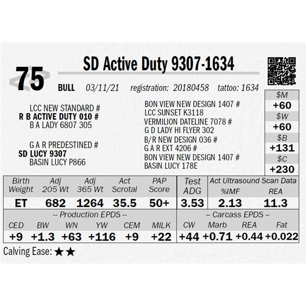 SD Active Duty 9307-1634