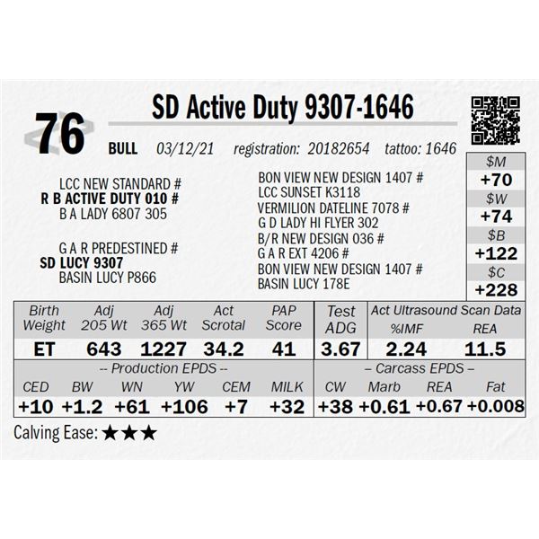SD Active Duty 9307-1646