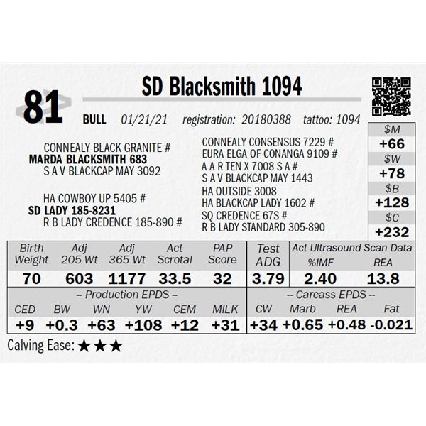 SD Blacksmith 1094