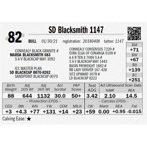 OUT OF SALE - SD Blacksmith 1147