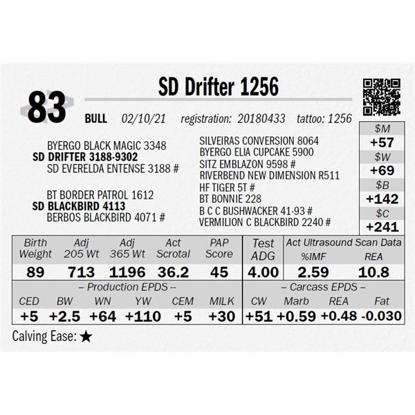 SD Drifter 1256