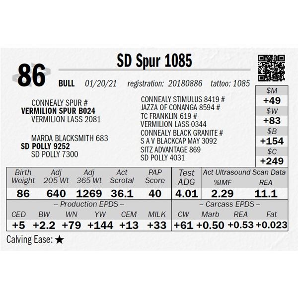 SD Spur 1085