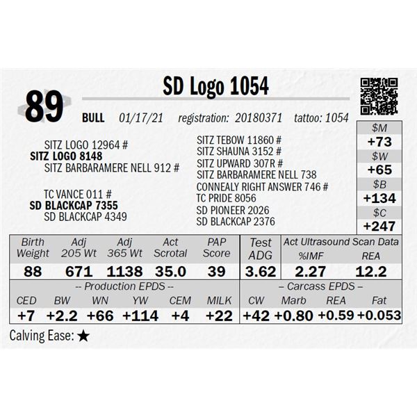 SD Logo 1054