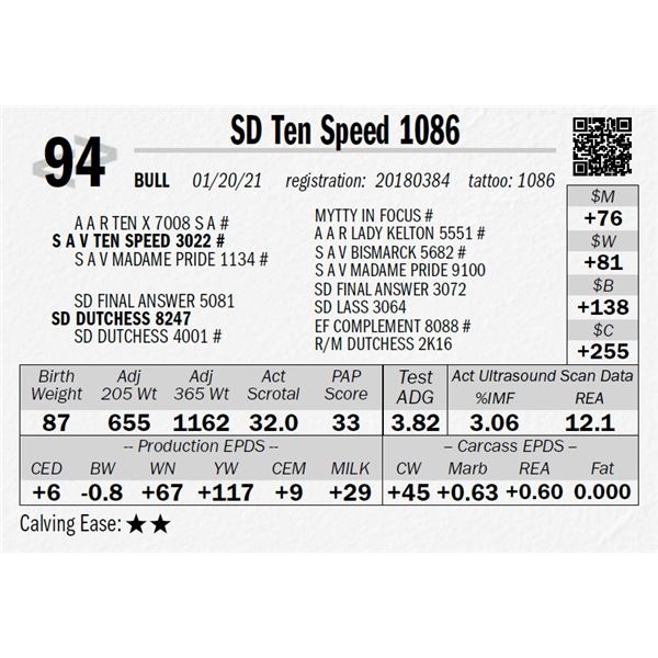 SD Ten Speed 1086