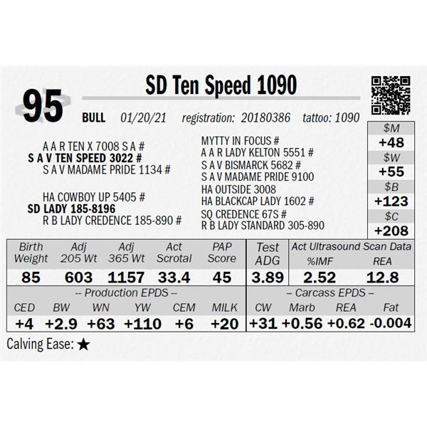 SD Ten Speed 1090