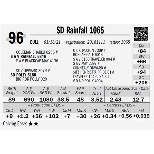 SD Rainfall 1065