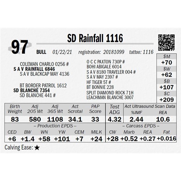 SD Rainfall 1116