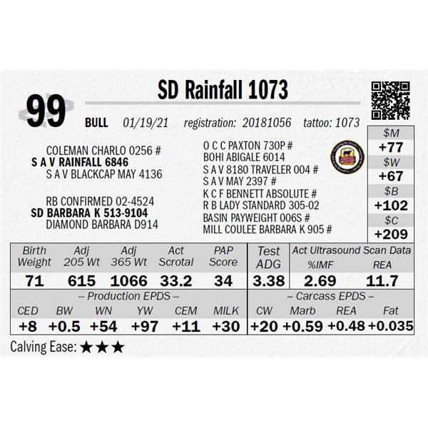 SD Rainfall 1073