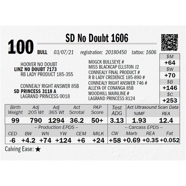 SD No Doubt 1606