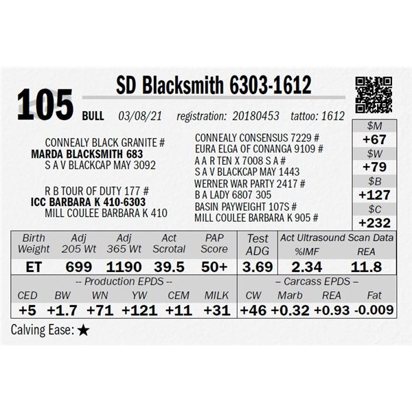 SD Blacksmith 6303-1612