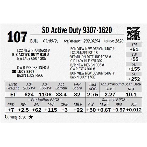 SD Active Duty 9307-1620