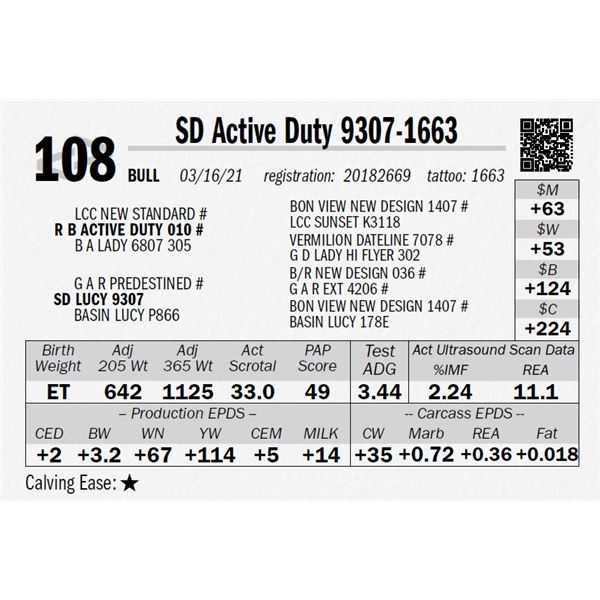 SD Active Duty 9307-1663