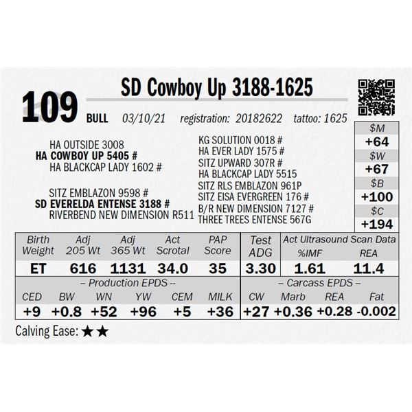 OUT OF SALE - SD Cowboy Up 3188-1625