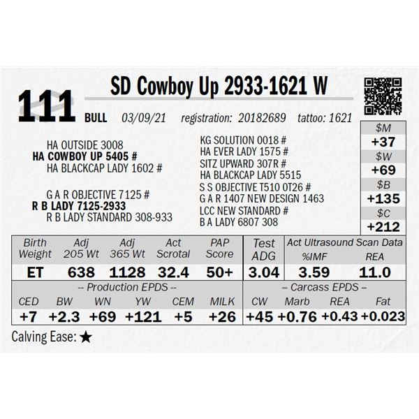 OUT OF SALE - SD Cowboy Up 2933-1621 W