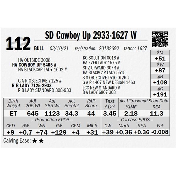 SD Cowboy Up 2933-1627 W