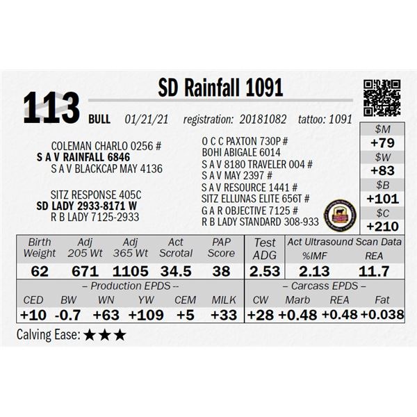 OUT OF SALE - SD Rainfall 1091