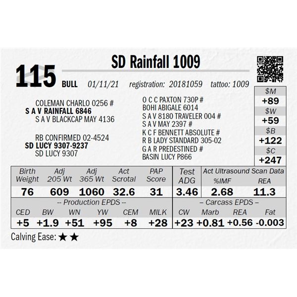 SD Rainfall 1009