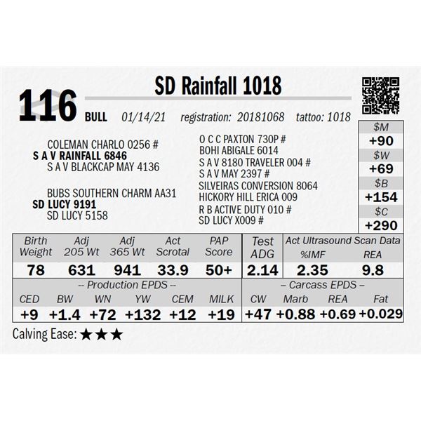 SD Rainfall 1018