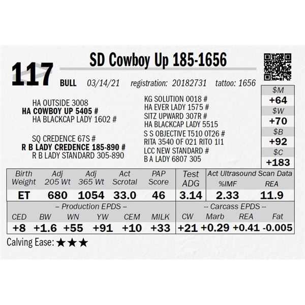 SD Cowboy Up 185-1656