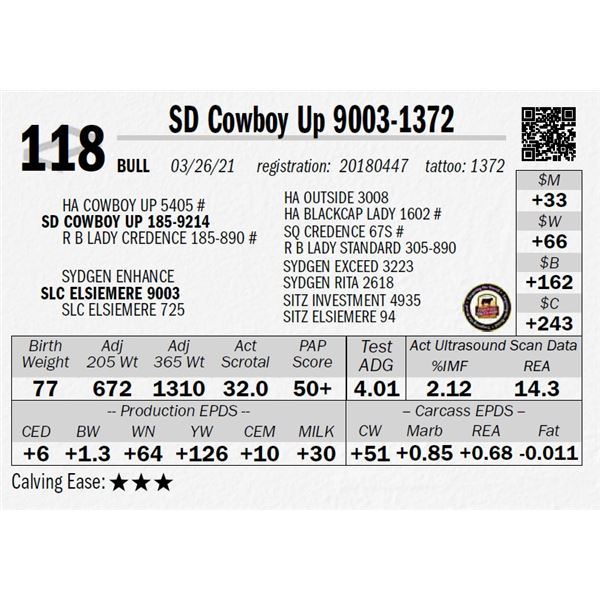 OUT OF SALE - SD Cowboy Up 9003-1372