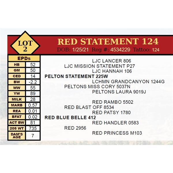 RED STATEMENT 124