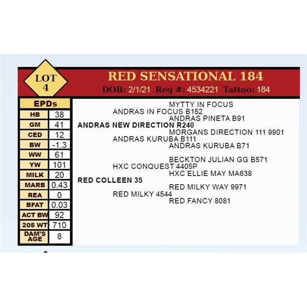 RED SENSATIONAL 184