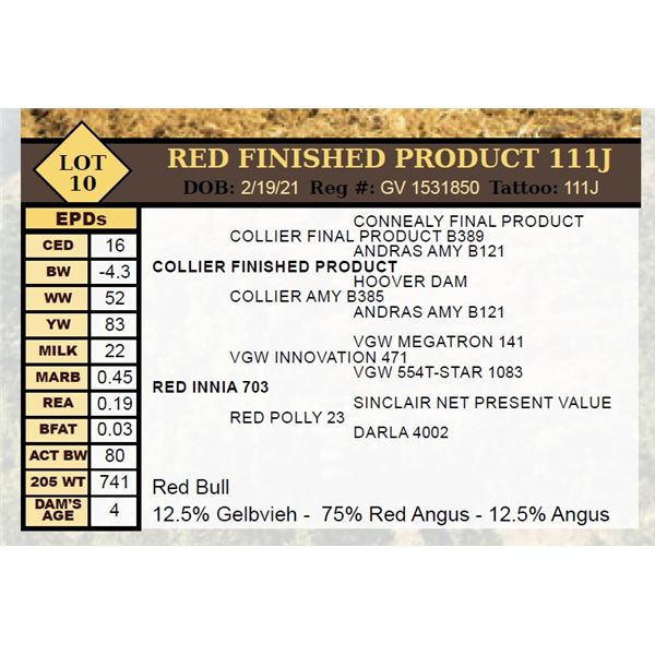 OUT OF SALE - RED FINISHED PRODUCT 111J