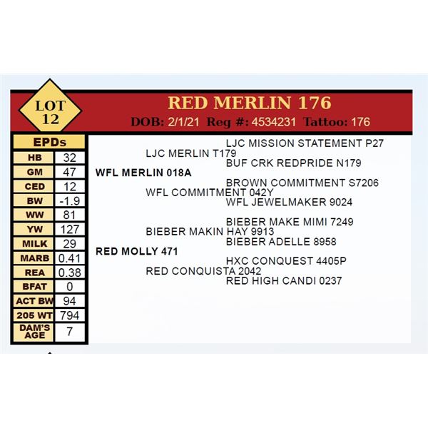 RED MERLIN 176