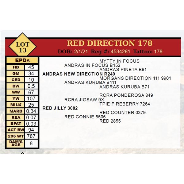 RED DIRECTION 178