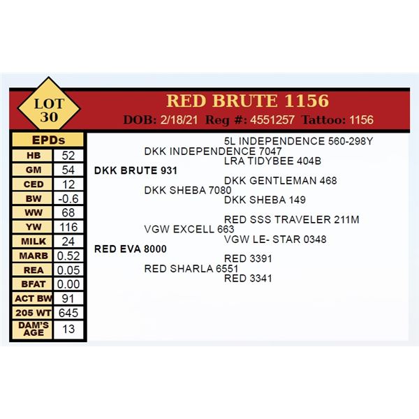 RED BRUTE 1156