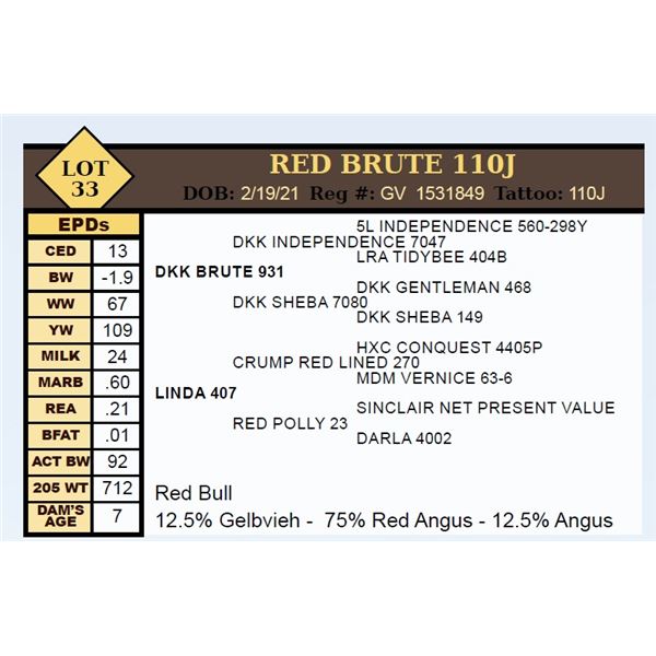 RED BRUTE 110J