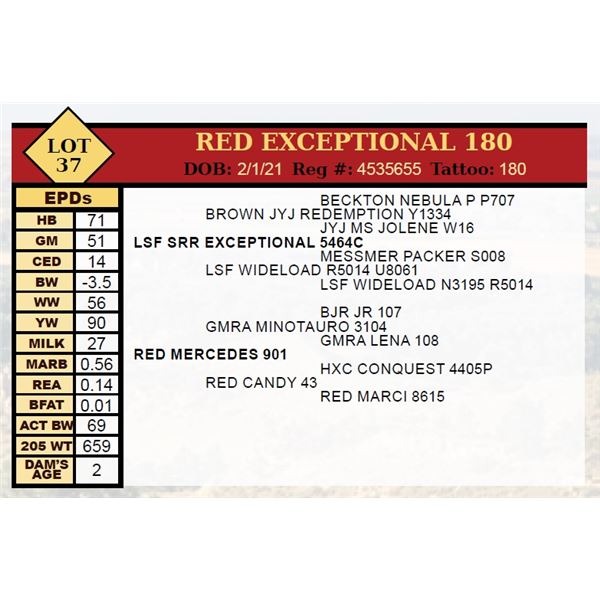 RED EXCEPTIONAL 180