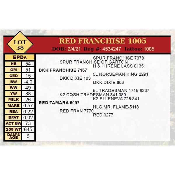 RED FRANCHISE 1005