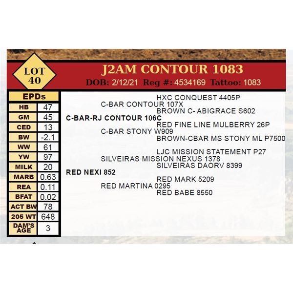 J2AM CONTOUR 1083