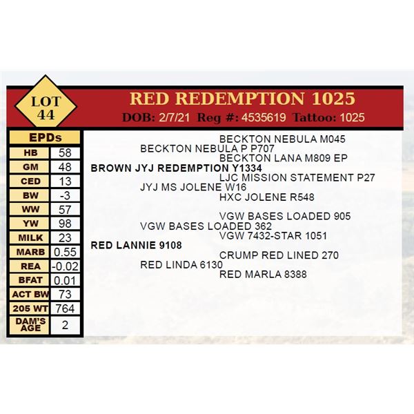 RED REDEMPTION 1025