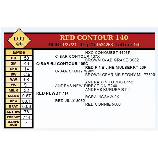 RED CONTOUR 140