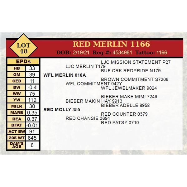 OUT OF SALE - RED MERLIN 1166