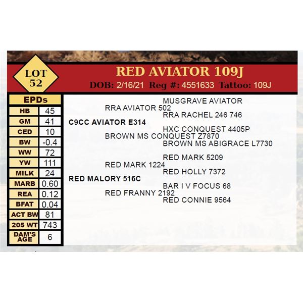 RED AVIATOR 109J