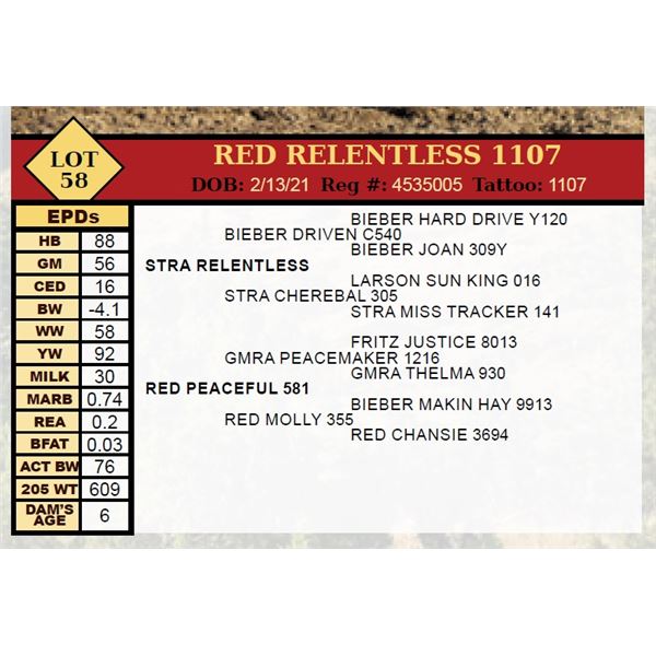 RED RELENTLESS 1107