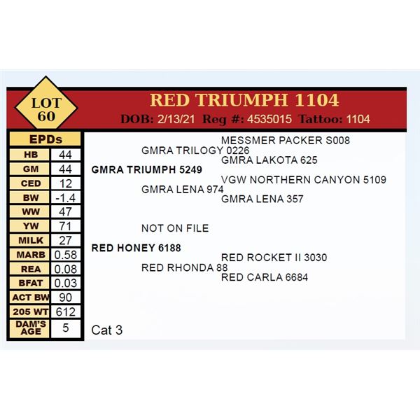 RED TRIUMPH 1104