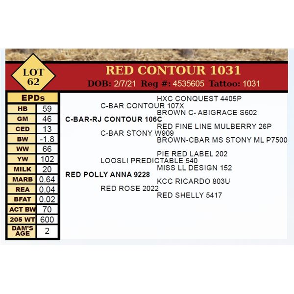 RED CONTOUR 1031