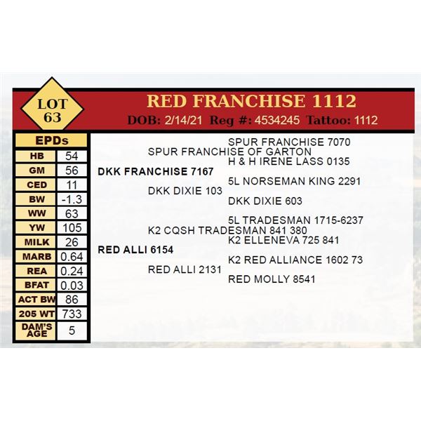 RED FRANCHISE 1112