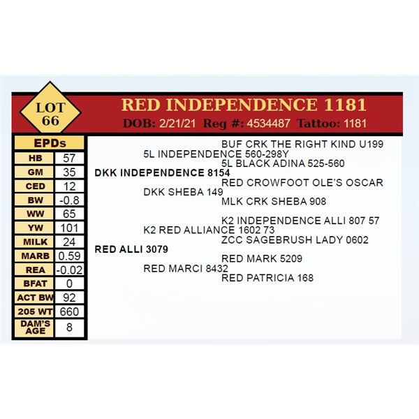RED INDEPENDENCE 1181