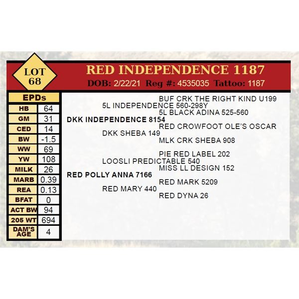 RED INDEPENDENCE 1187
