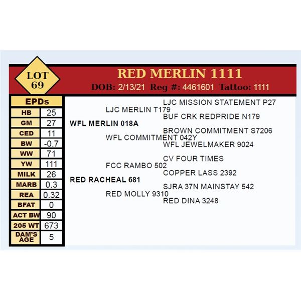 OUT OF SALE - RED MERLIN 1111