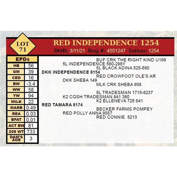 RED INDEPENDENCE 1254